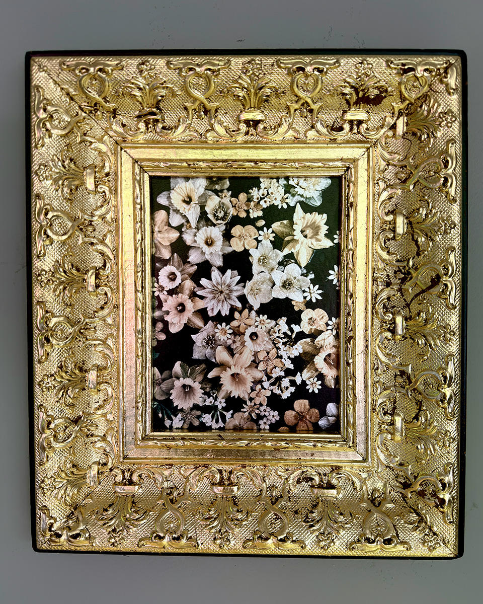 Narcissus
15h 12 3/4w
archival pigment print
hand guilder 24k vintage frame