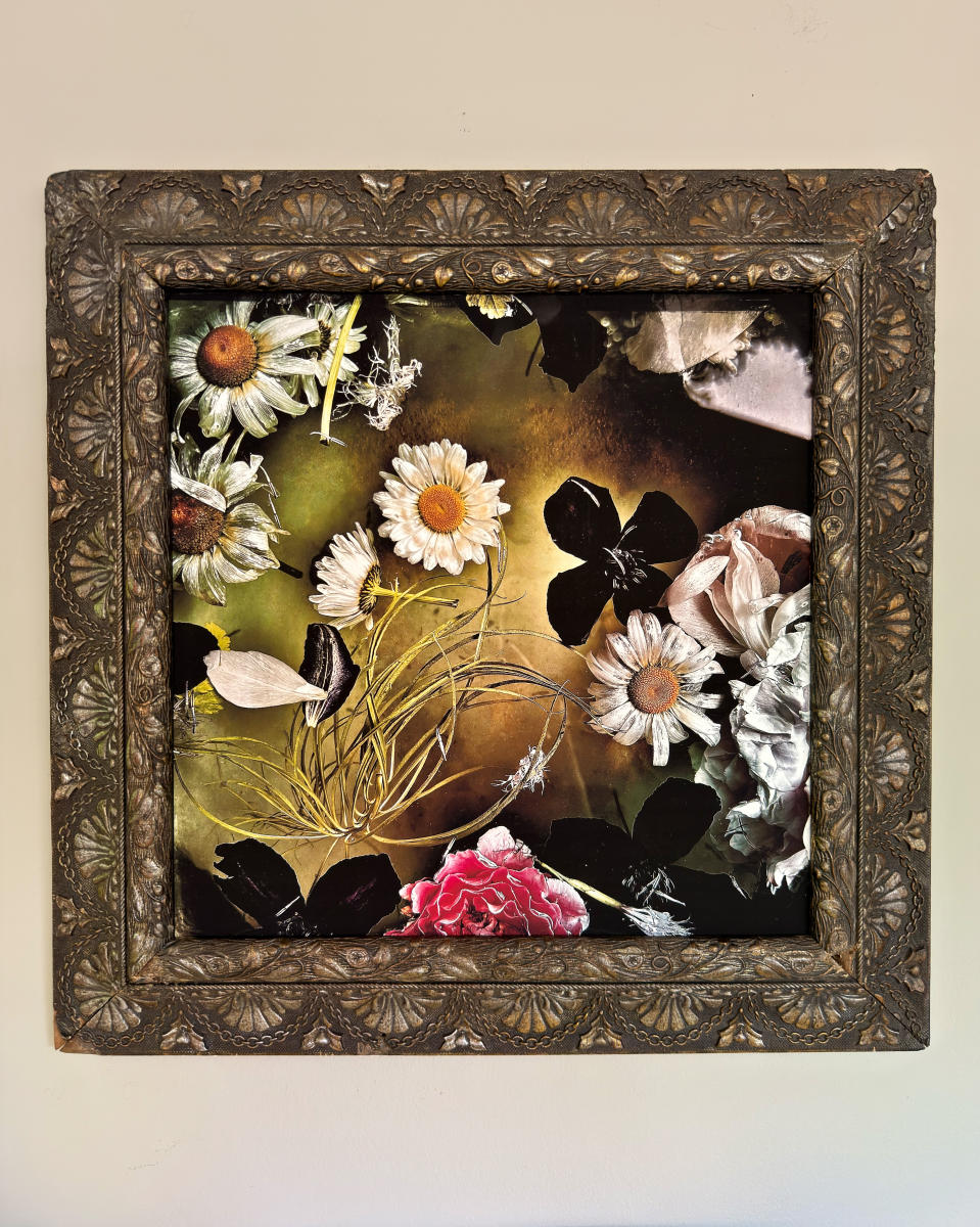 Daisy Float
24 x 24
archival pigment print 
vintage frame