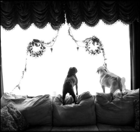 Ming and Ping Harrisburg PA