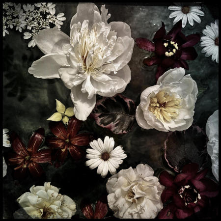 Untitled
12 x 12 archival pigment print