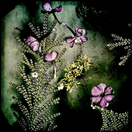 Untitled
12 x 12 archival pigment print