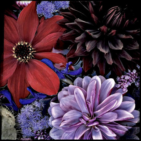 Dahlia 3
12 x12 archival pigment print